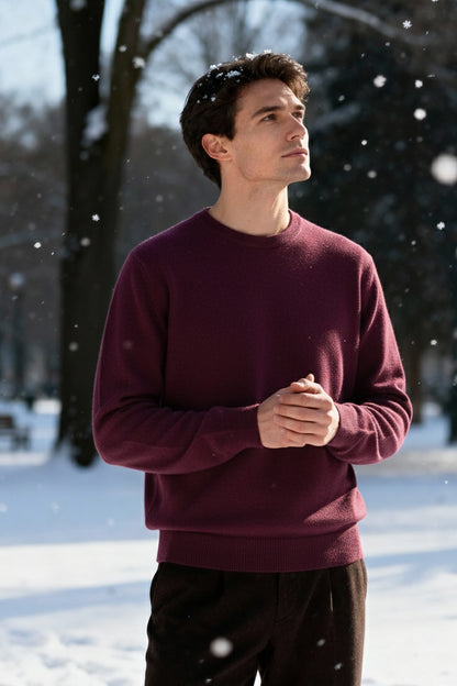 Gestricktes Sweatshirt mit Gerippten Abschlüssen | Sebastian – Aubergine